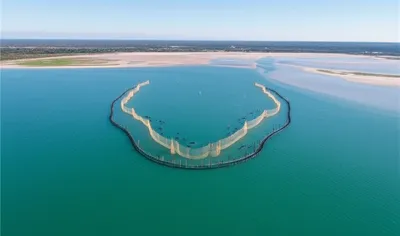 Illustration pounds - Image 1