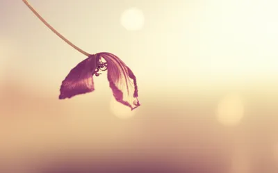 Illustration expire - Image 1