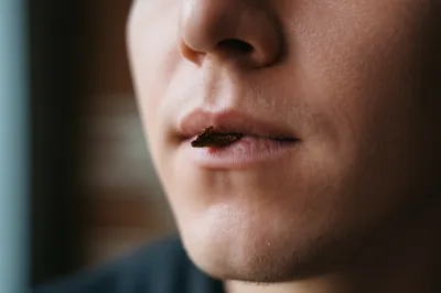 Illustration dipped - Image 1