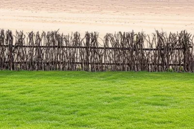 Illustration bordering - Image 1