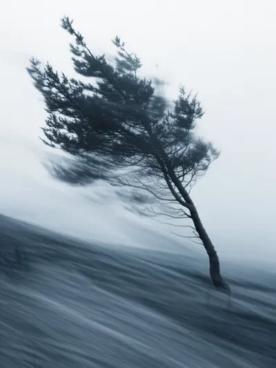 Illustration wavers - Image 1