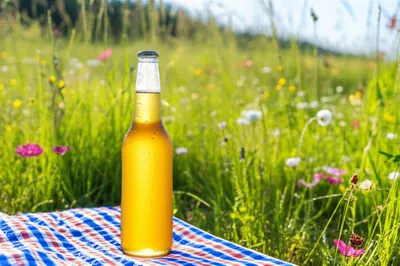 Illustration new - Image 1