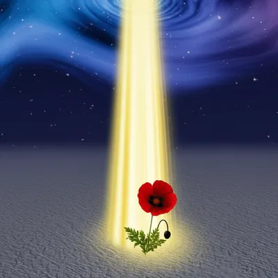 Illustration ordained - Image 1