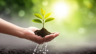 Illustration sponsoring