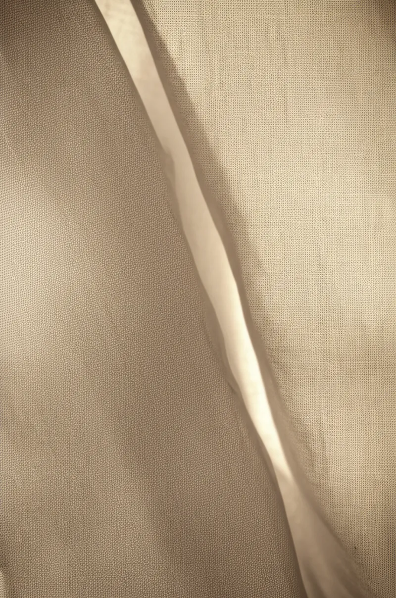 توضيح مرئي للكلمة "tissue" - نسيج