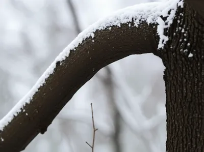 Illustration gives - Image 1