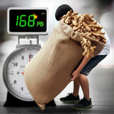 Illustration pocket - Image 1