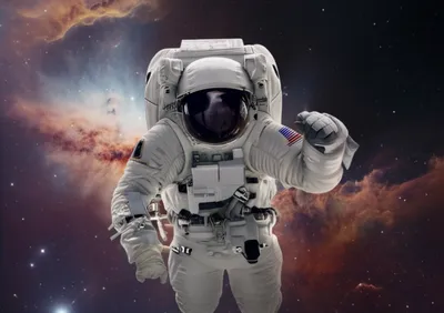 Illustration suit - Image 1