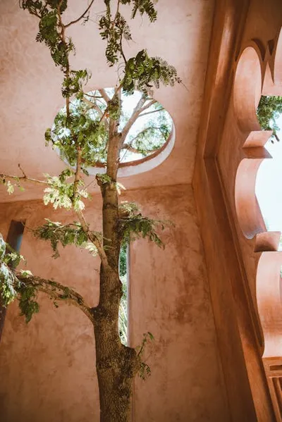 Illustration adaptations - Image 2