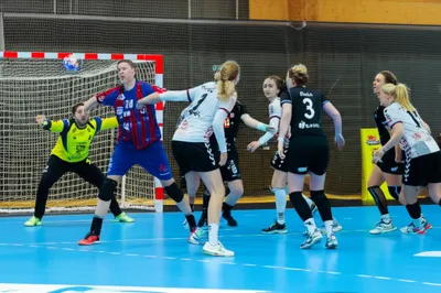 Illustration handball - Image 1