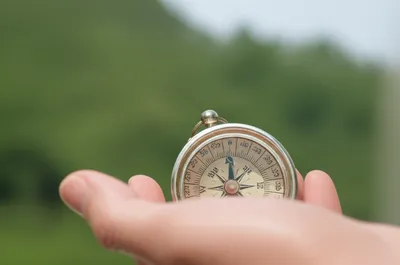 Illustration lowers - Image 1