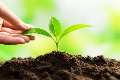 Illustration get - Image 1