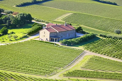 Illustration real - Image 1