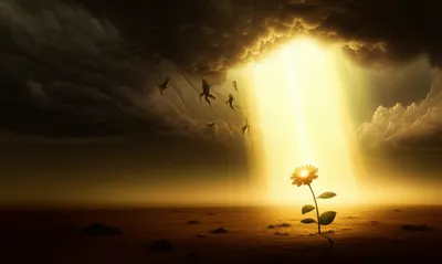 Illustration token - Image 1