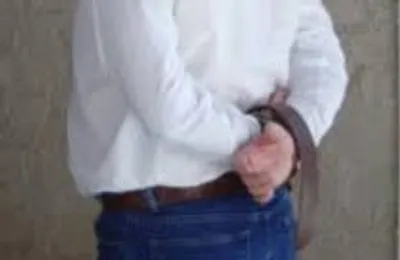 Illustration pinion - Image 2