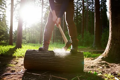 Illustration woodcutters - Image 1