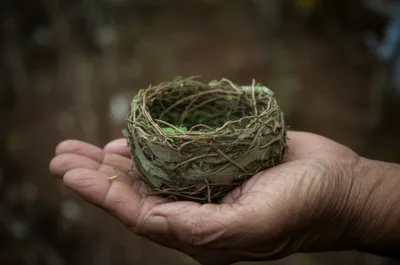 Illustration crater - Image 1