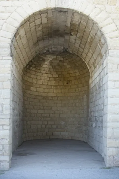 Illustration testudines - Image 1