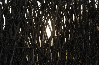 Illustration loop - Image 1