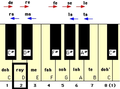 Illustration ray - Image 2