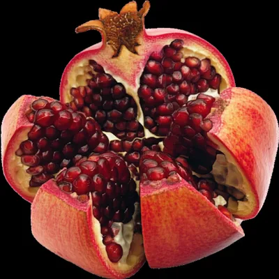 Illustration seam - Image 1