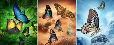 Illustration morph - Image 1