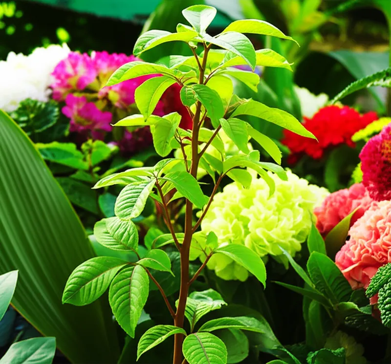 Ilustración visual de la palabra "thriving" - Prosperar, florecer