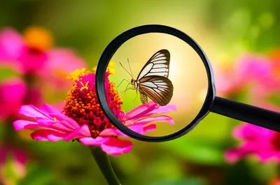 Illustration notes - Image 1