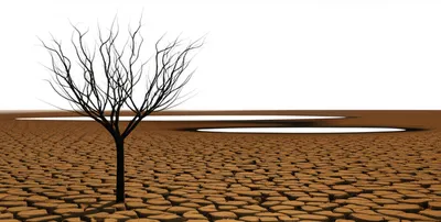 Hình ảnh minh họa drawdown - Ảnh 1