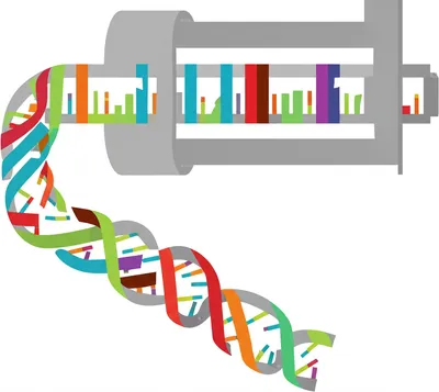 Illustration exons - Image 1