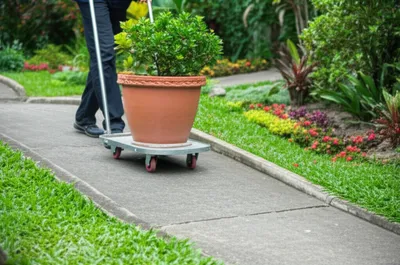 Illustration dispose - Image 1