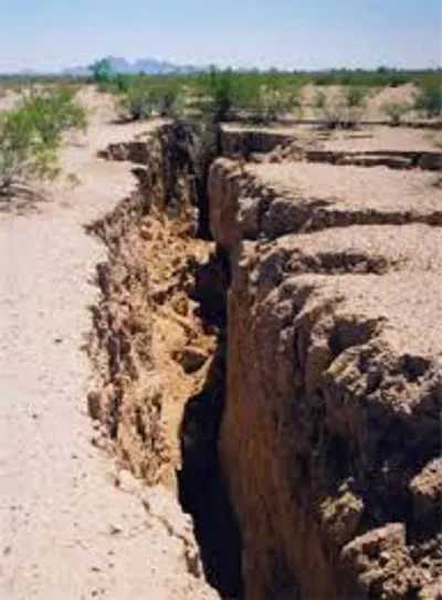 Illustration fissure - Image 2