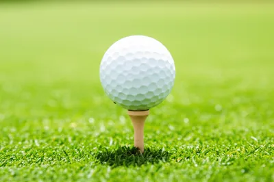 Illustration tee - Image 1