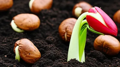 Illustration catalyze - Image 1