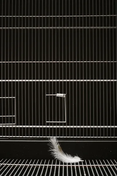 Illustration eliminated - Image 1