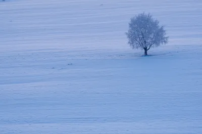 Illustration colder - Image 1