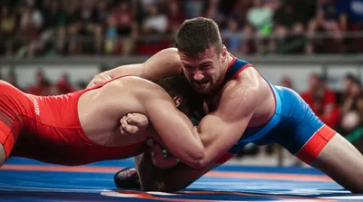 Illustration wrestles