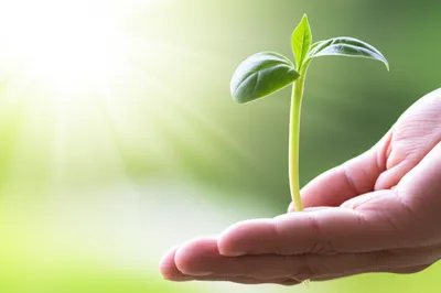 Illustration enforcing