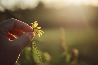 Illustration upturn - Image 1