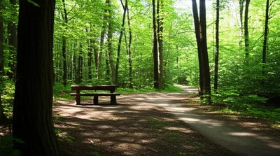 Illustration cottages - Image 1