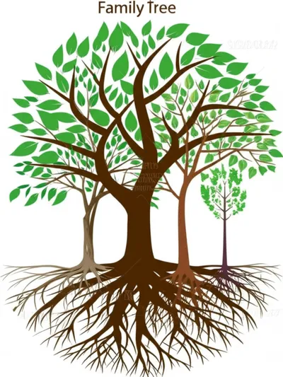 Illustration polyphyletic