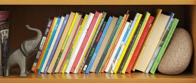 Illustration bookends