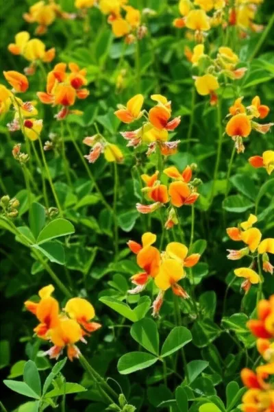 Illustration stylos - Image 1