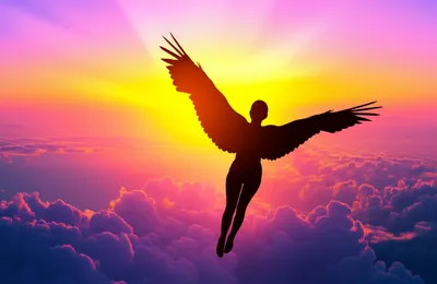 Illustration flights