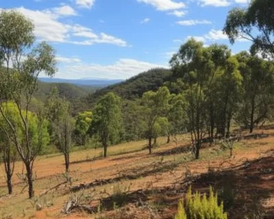 Illustration bush - Image 1