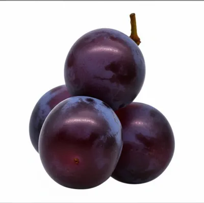 Illustration grape - Image 1