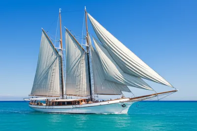 Illustration settee - Image 1