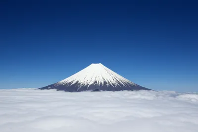 Illustration supreme