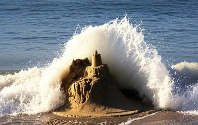 Illustration nixes - Image 1