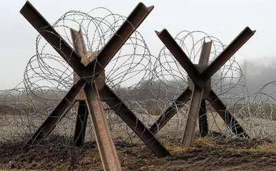 Illustration hedgehog - Image 1